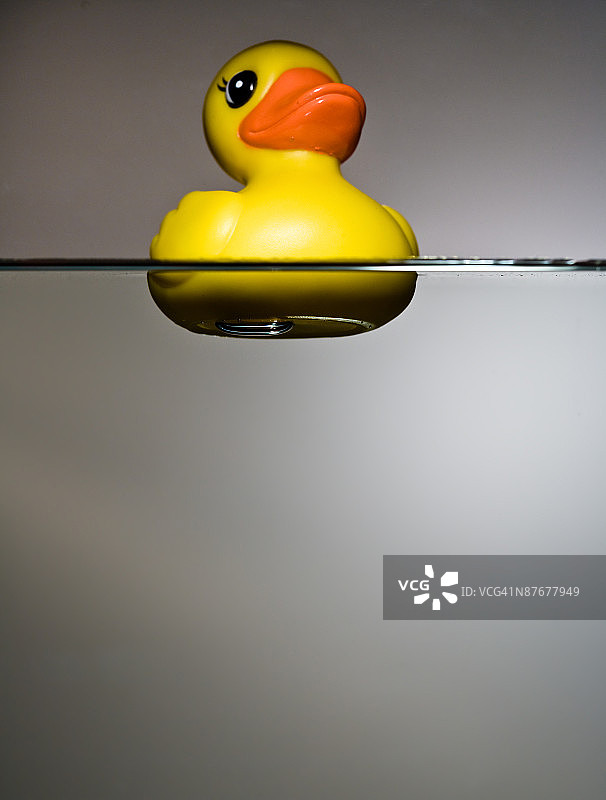 漂浮在水中的橡皮鸭图片素材