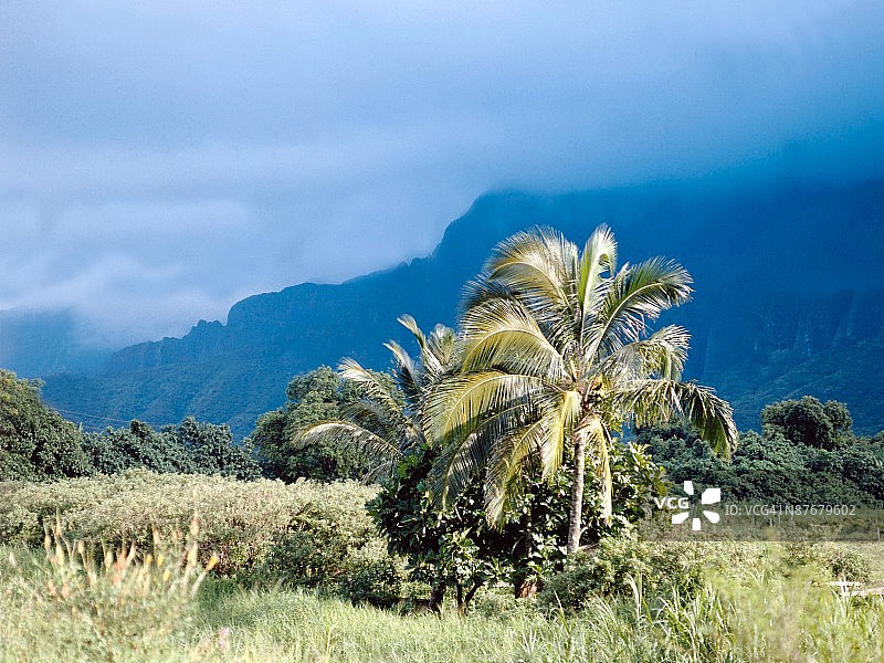 24117788图片素材