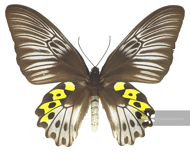 23643593图片素材