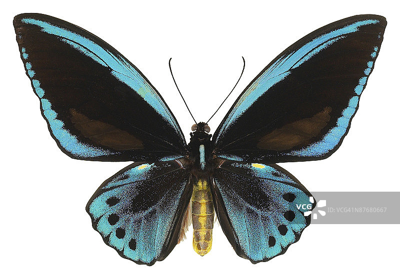 23643638图片素材