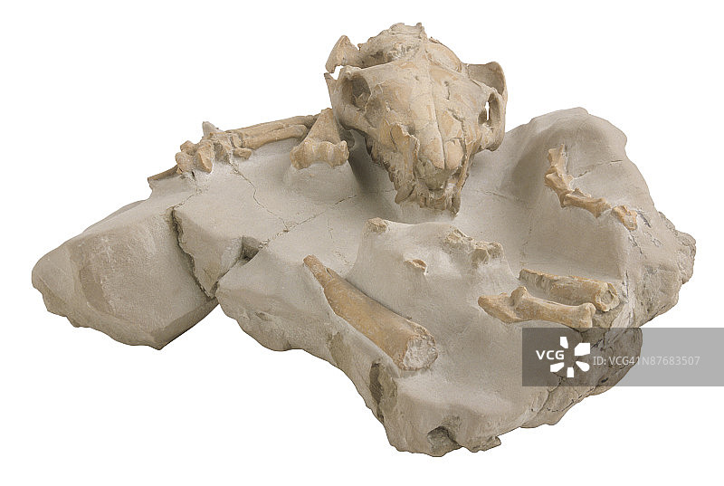 23539558图片素材