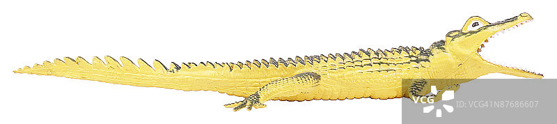 23612430图片素材