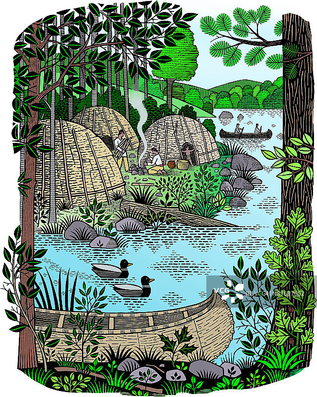 公园里的树图片素材