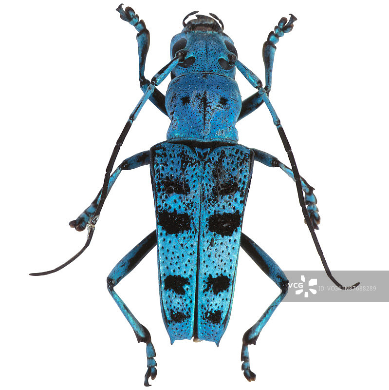 23630072图片素材