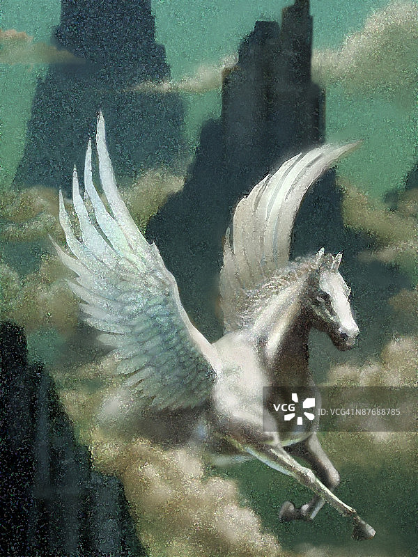 鸟在户外飞行的特写镜头图片素材