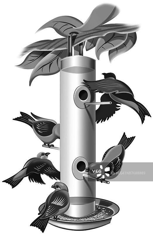 鸟栖息在金属上的特写镜头图片素材