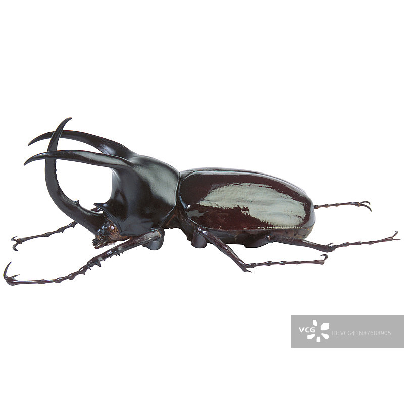 23630098图片素材