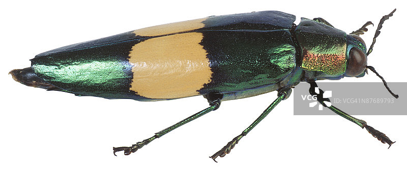 标题 4图片素材