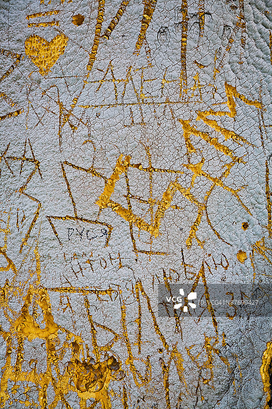 树干上的雕刻图片素材