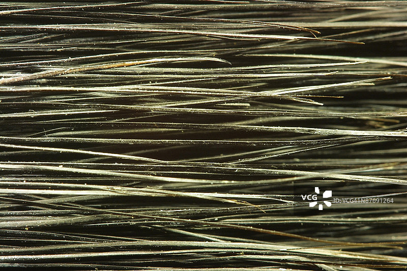 画笔刷毛图片素材