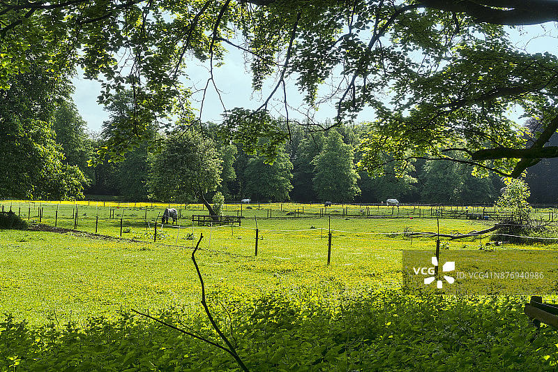 英国格洛斯特郡赛伦塞斯特公园的夏天图片素材
