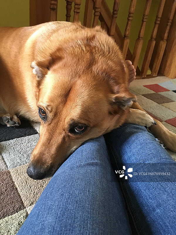 每日视角图片素材