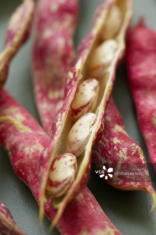 24025278图片素材