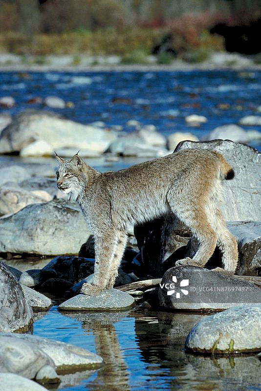 23892758图片素材