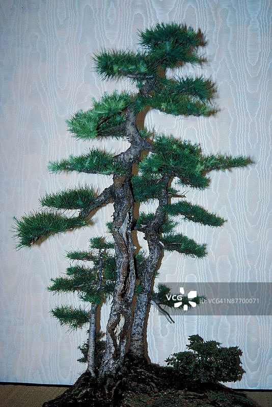 23893948图片素材