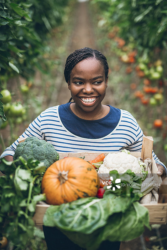 农民拿着一箱新鲜的有机蔬菜图片素材