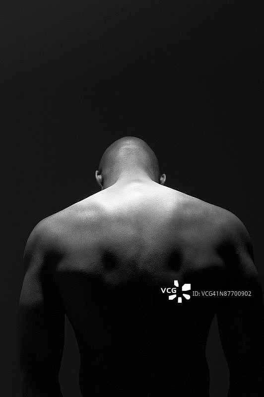 男子的头部和背部背影图片素材