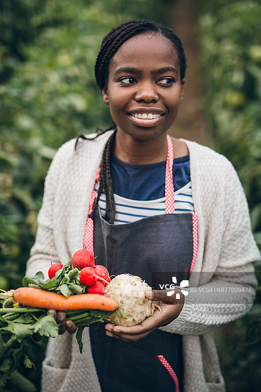 农妇手捧新鲜的有机蔬菜图片素材