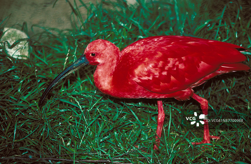 23899078图片素材