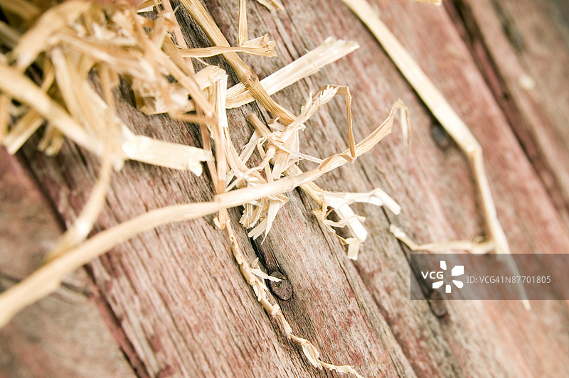 木头上的稻草图片素材