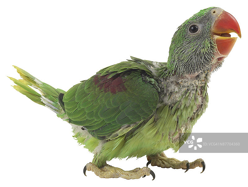 23577548图片素材