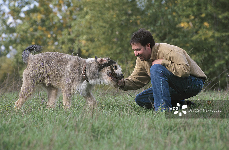 男人和小狗在公园里图片素材