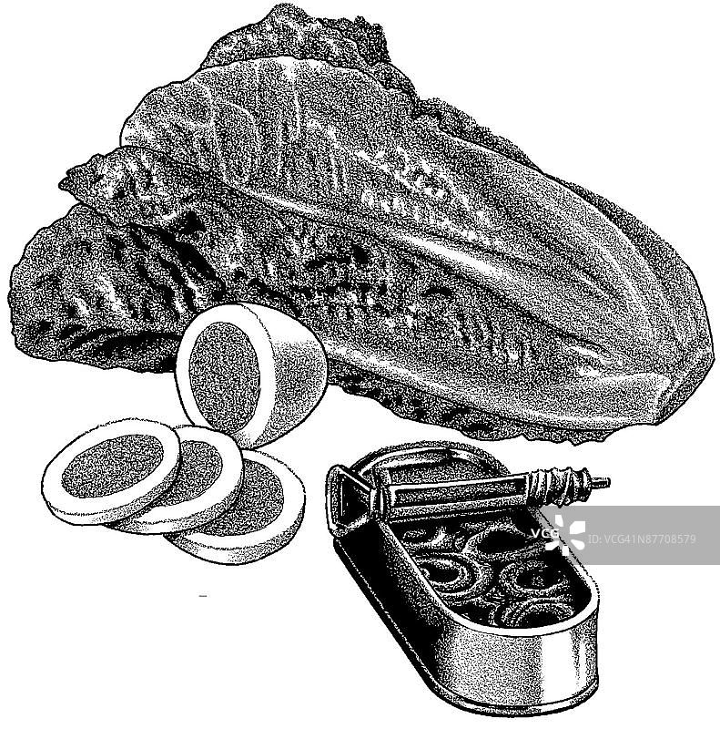 LiquidLibrary图片素材