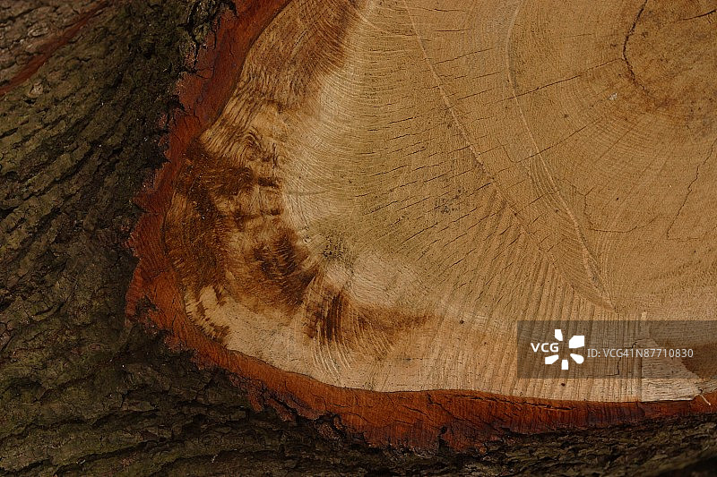 24069492图片素材