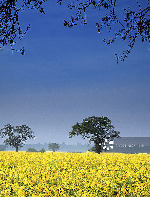 23870790图片素材