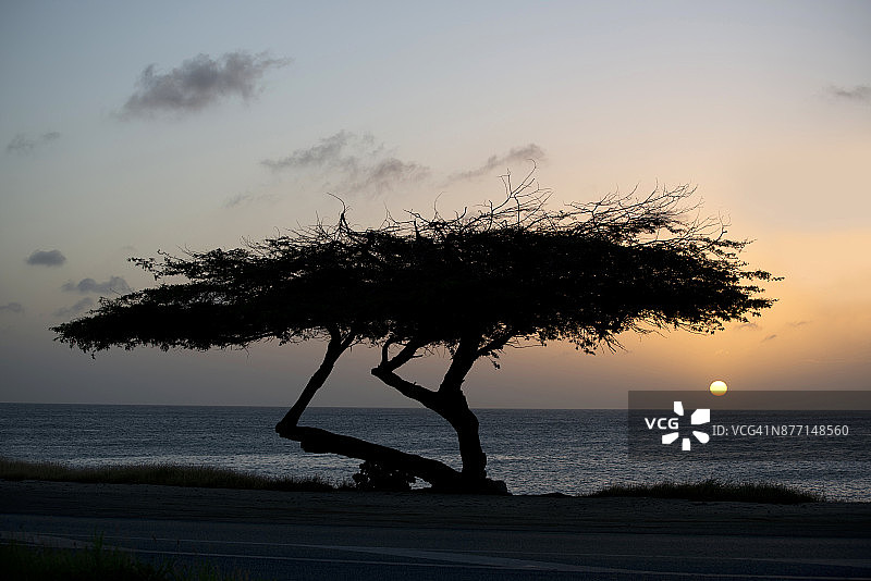 阿鲁巴马尔莫克海滩的日落图片素材