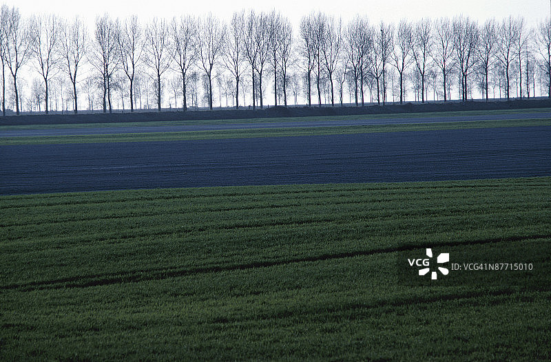 23935446图片素材