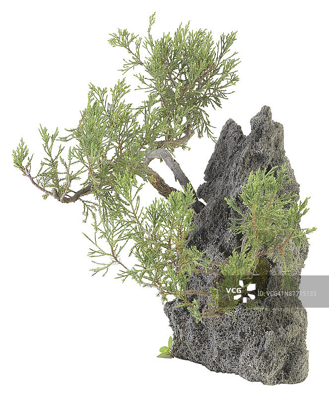 23605735图片素材