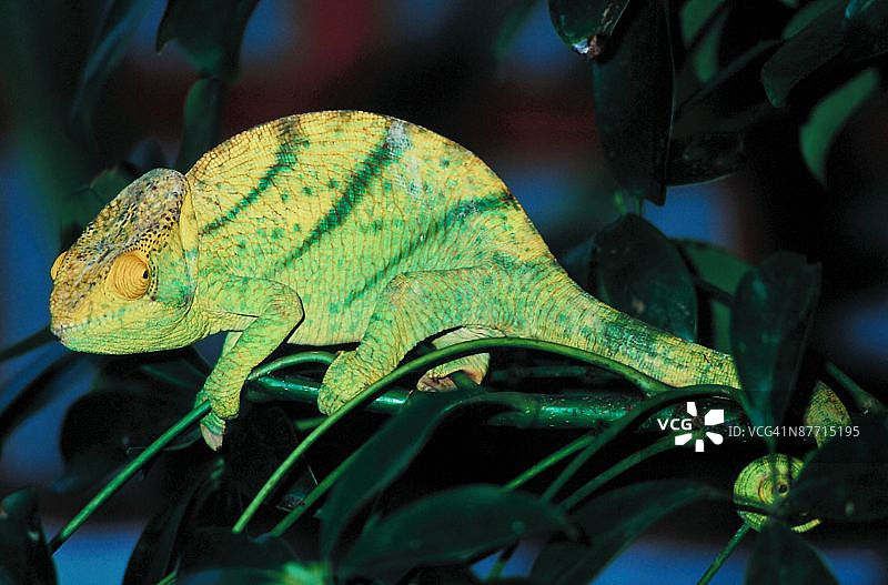 23898212图片素材