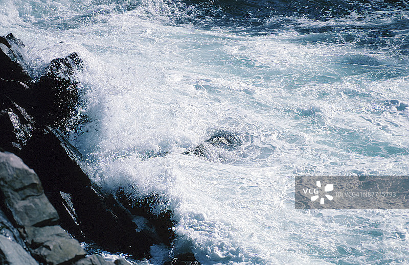 23935564图片素材