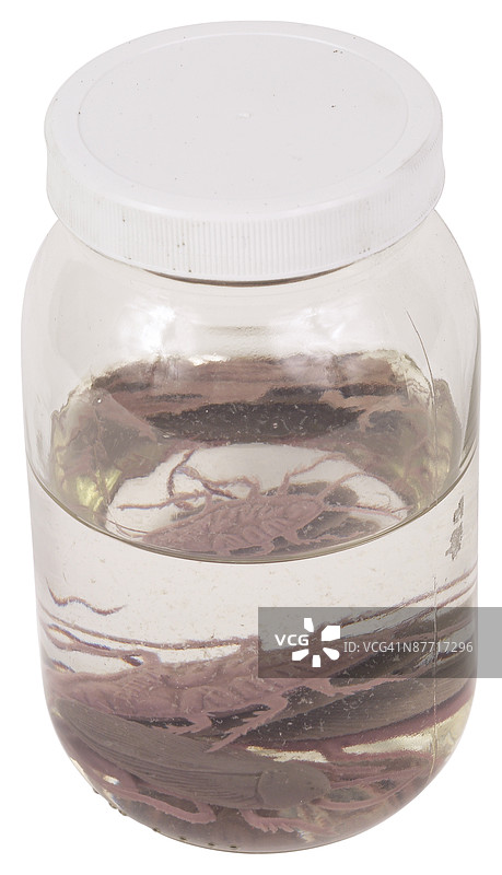 23578407图片素材