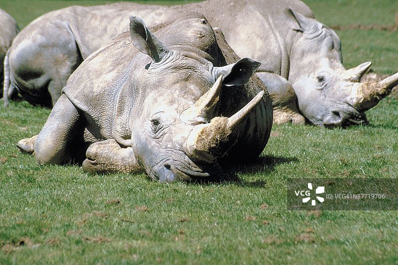 23899153图片素材