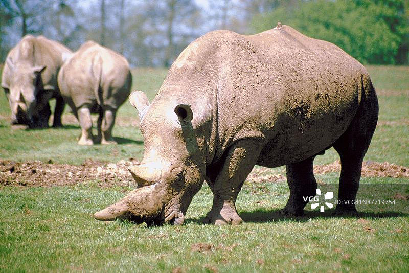 23899154图片素材