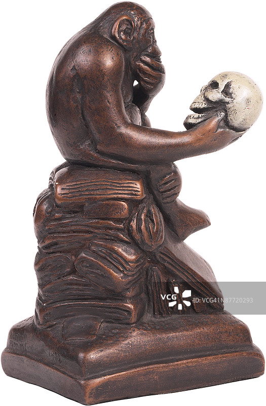 23969064图片素材