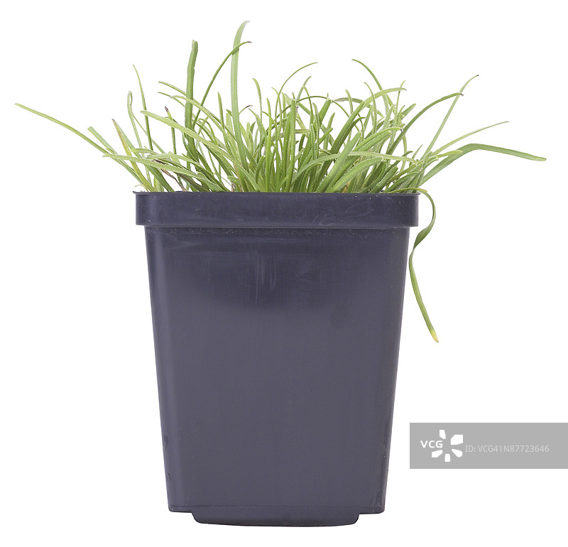 23605765图片素材