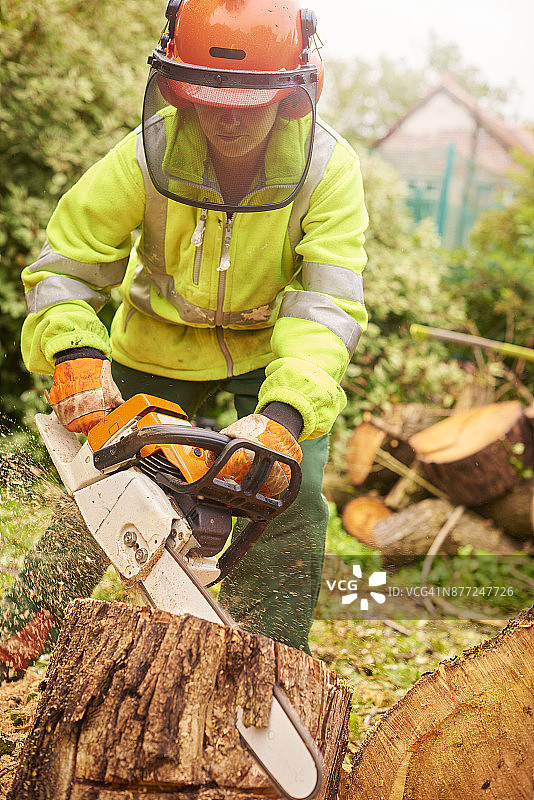 女树艺师切割树桩图片素材