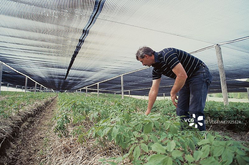 23901713图片素材