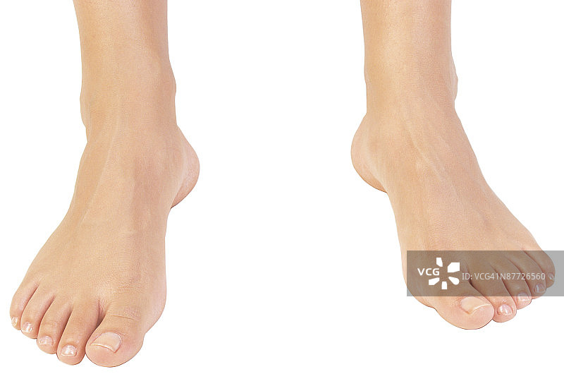 23805523图片素材