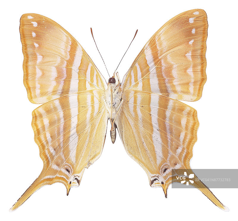 23610977图片素材