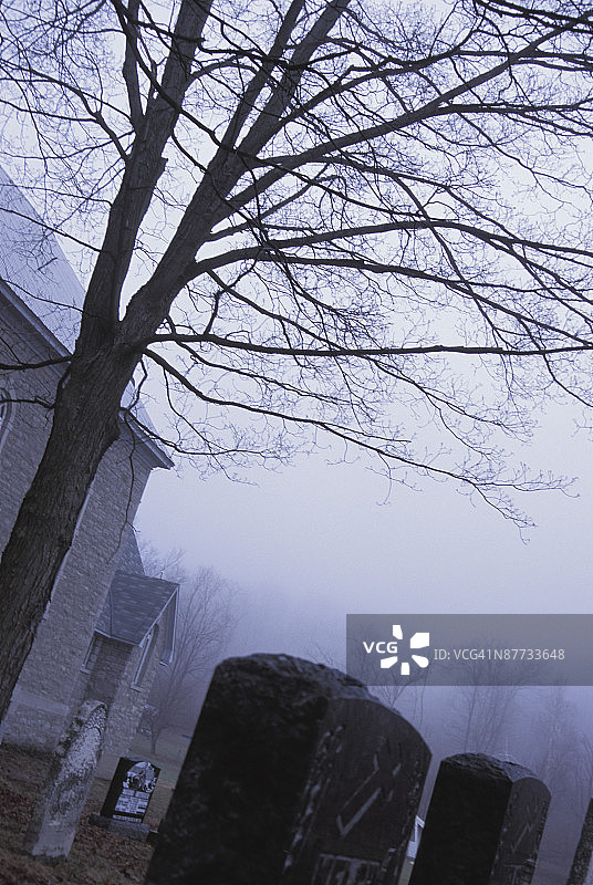 雾气笼罩的墓地图片素材