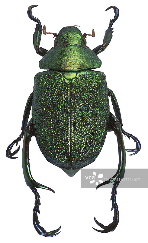 23630174图片素材