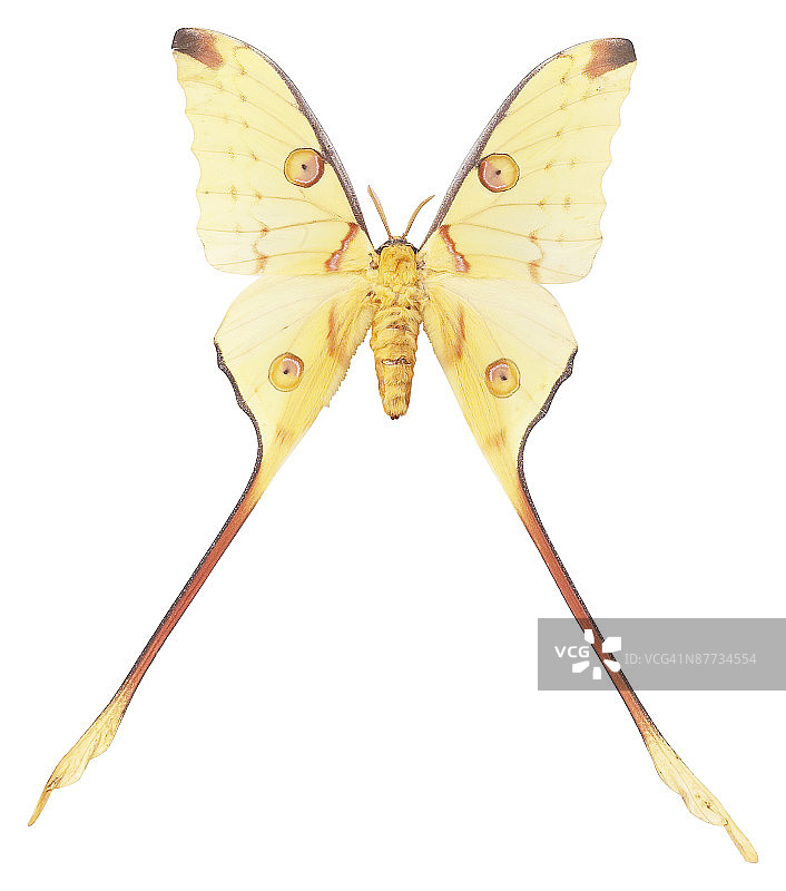 23611032图片素材