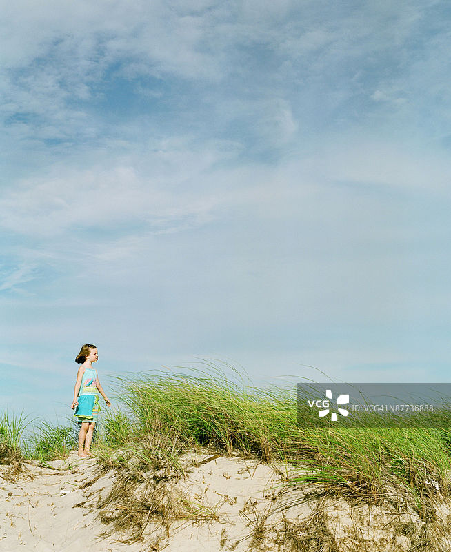 24011374图片素材