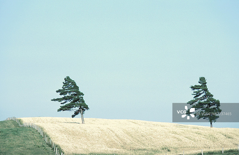 23936668图片素材