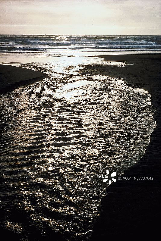 美国加利福尼亚州红杉国家公园小溪景观图片素材