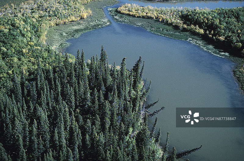 森林中的池塘图片素材